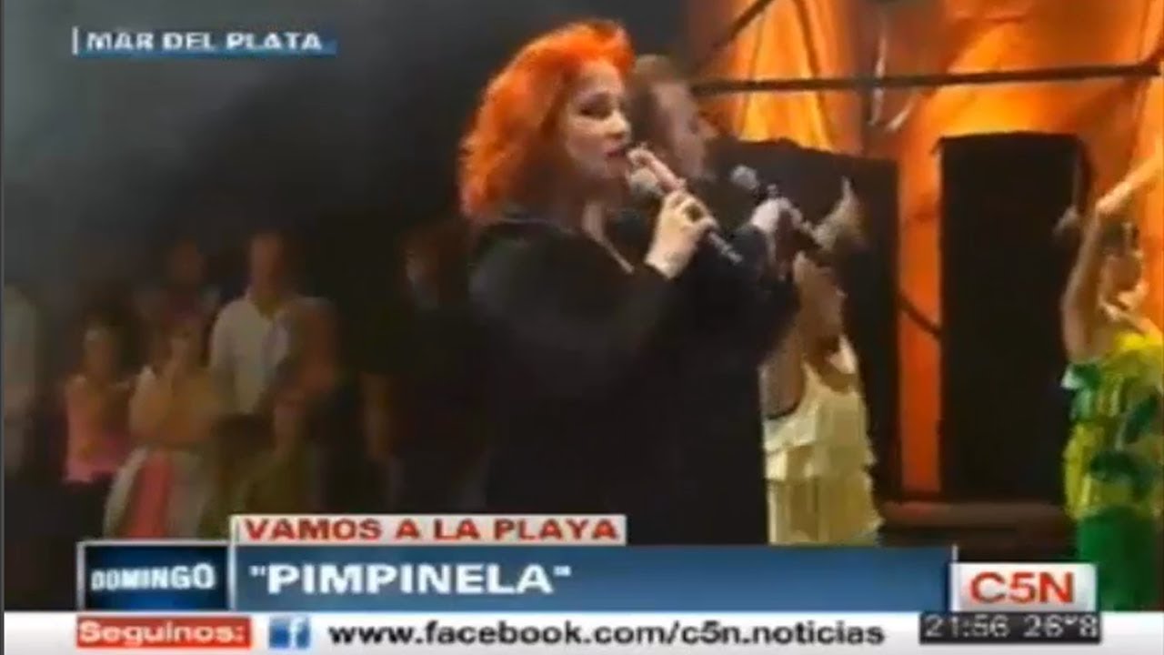 Pimpinela en Mar del Plata (2013)