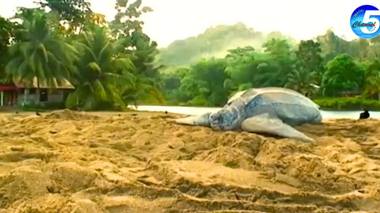 В прямом эфире | Новости 5 канала | Вторник, 10 марта 2026 года