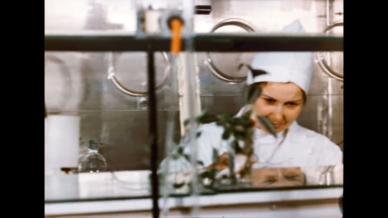 Ленинградская атомная, 1975