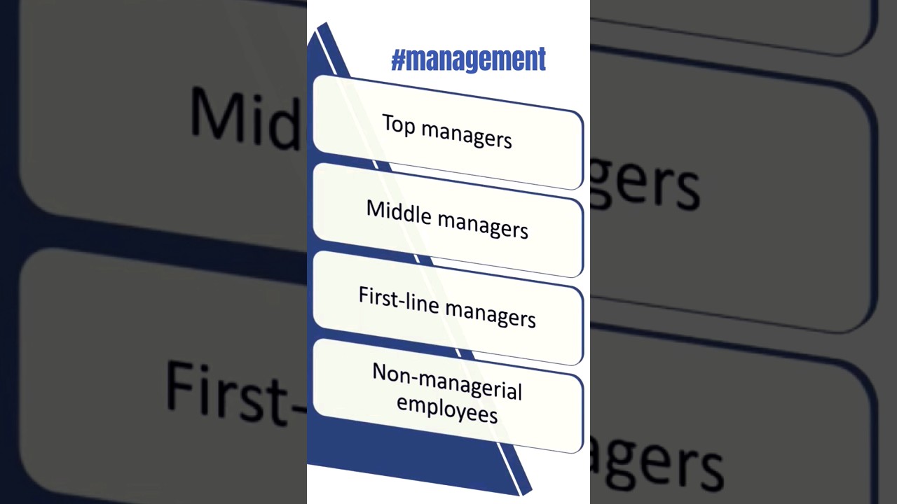 Management levels and their functions 
