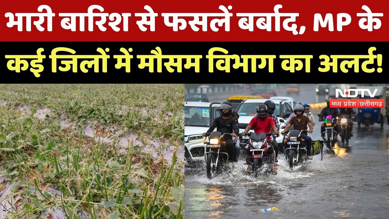 MP Rain Alert: Shivpuri, Ujjain समेत कई जिलों में भारी बारिश, जानें अपने शहर का हाल? Weather Update