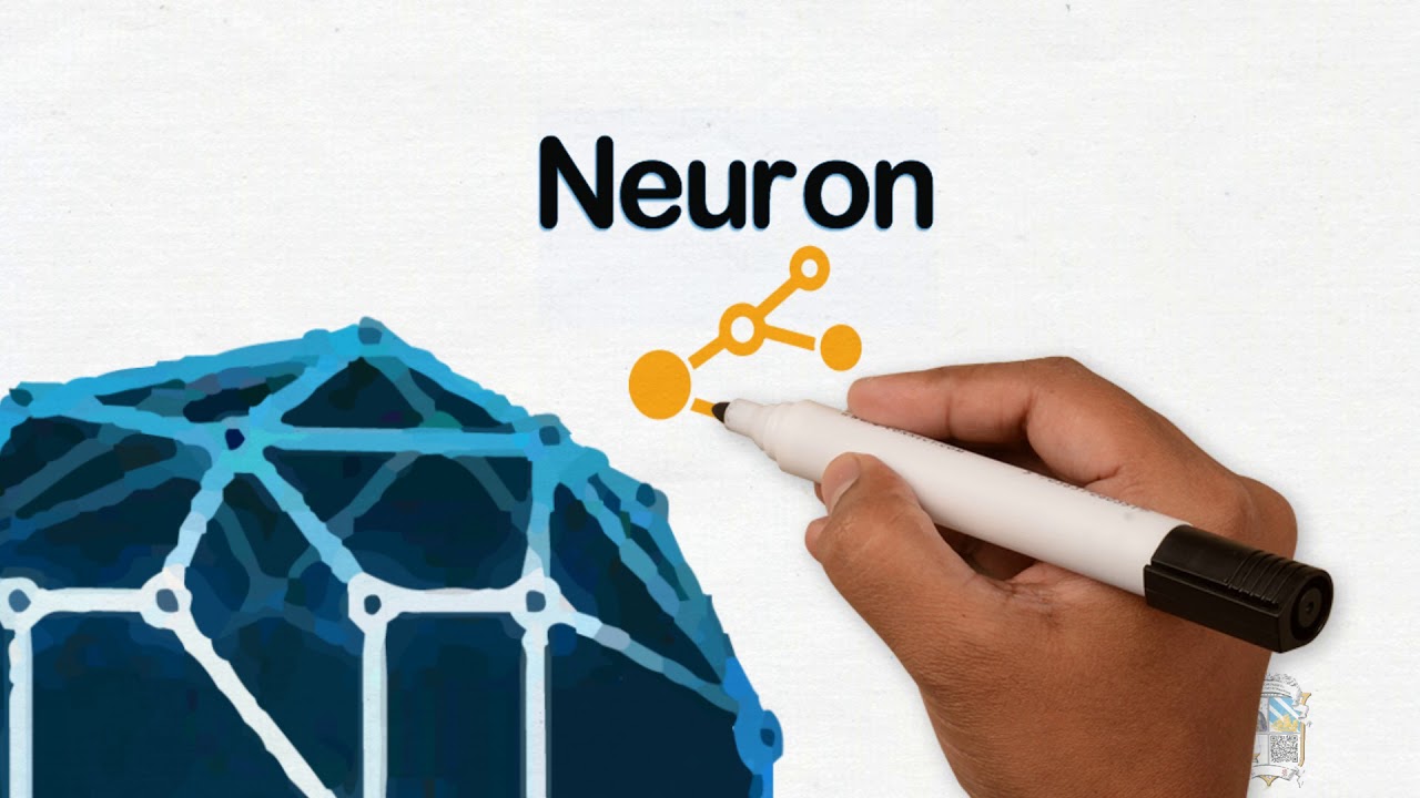 nucleus.vision