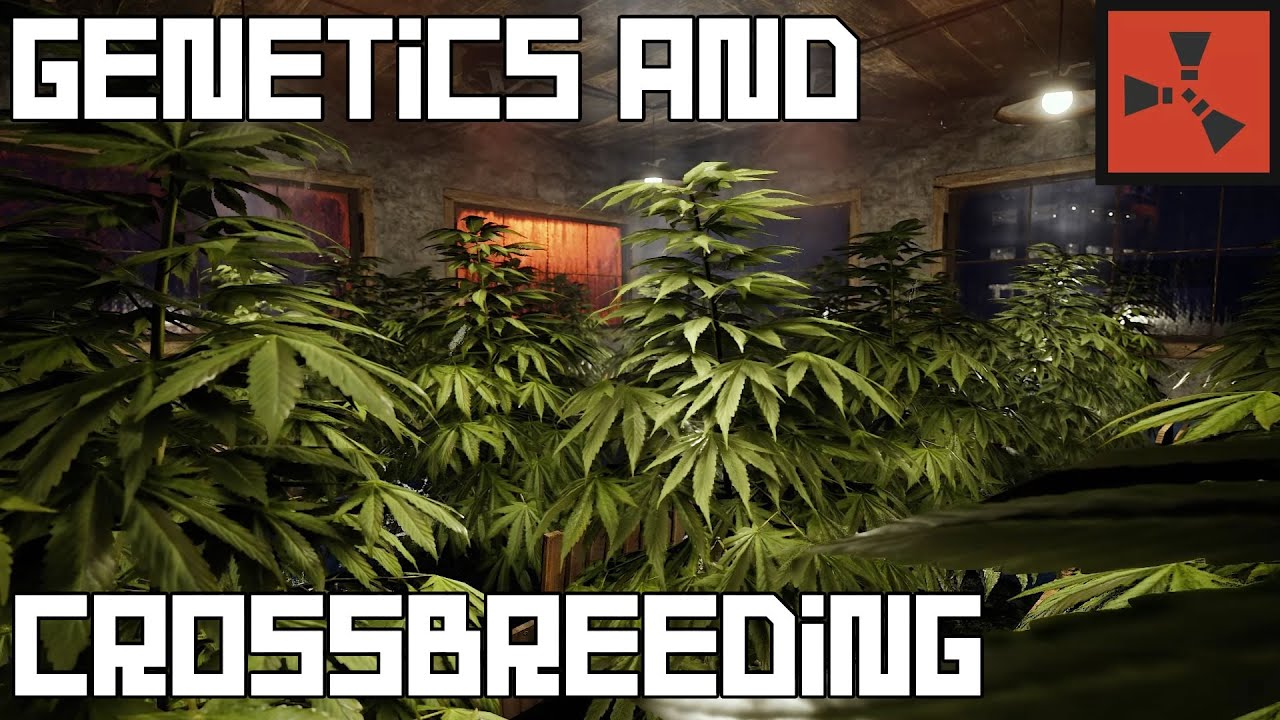 Rust - Comprehensive Genetics and Crossbreeding Guide - The Path to Perfect Genetics