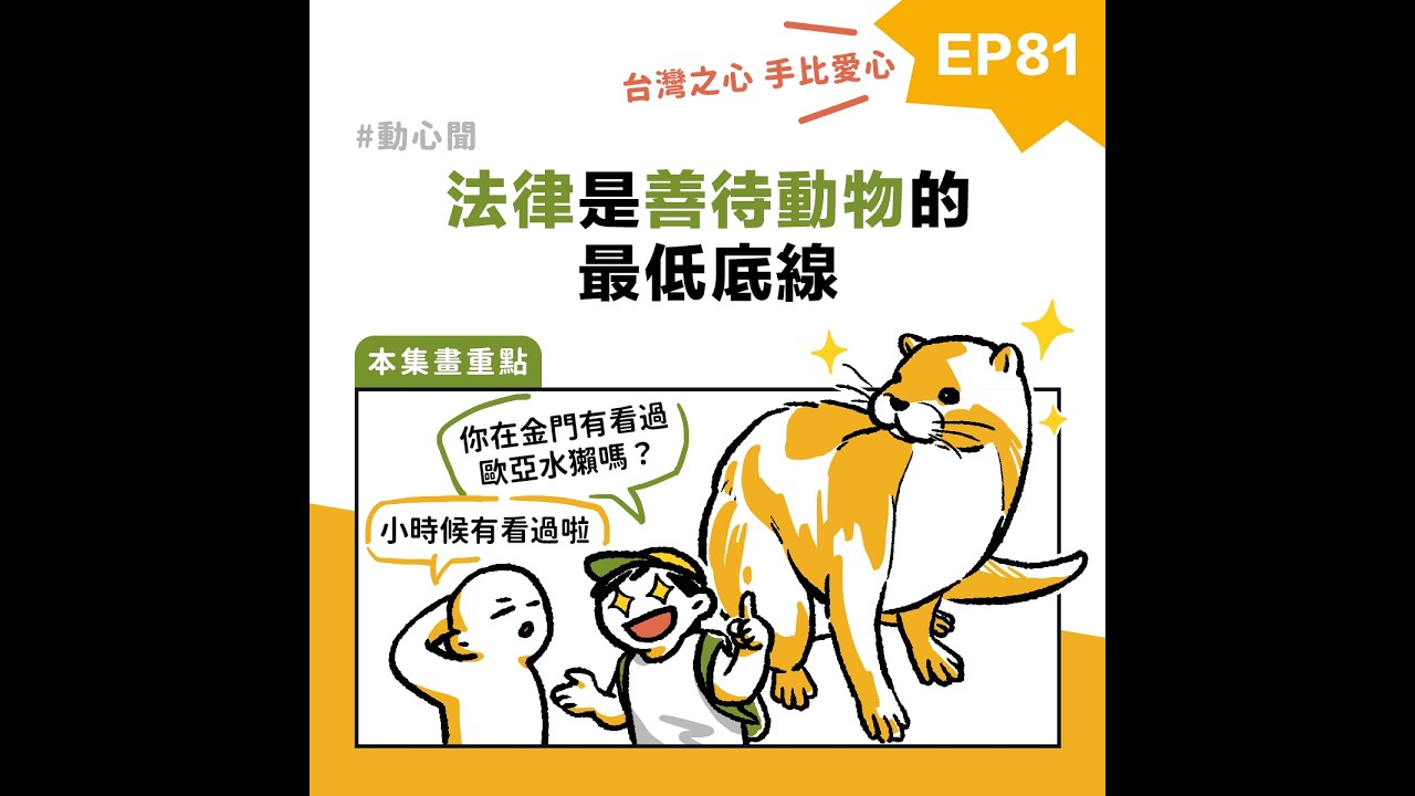 【台灣之心手比愛心】EP81法律是善待動物的最低底線 #動心聞