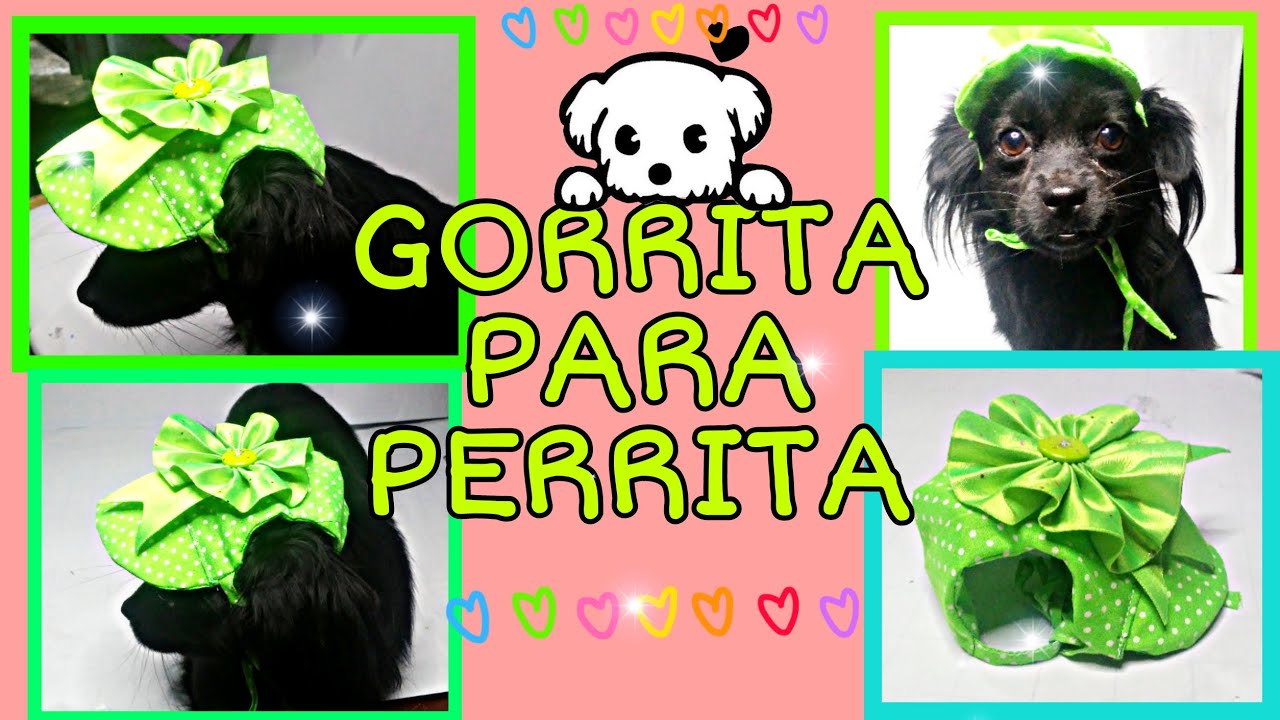 GORRITA PARA PERRITO Y GATITO