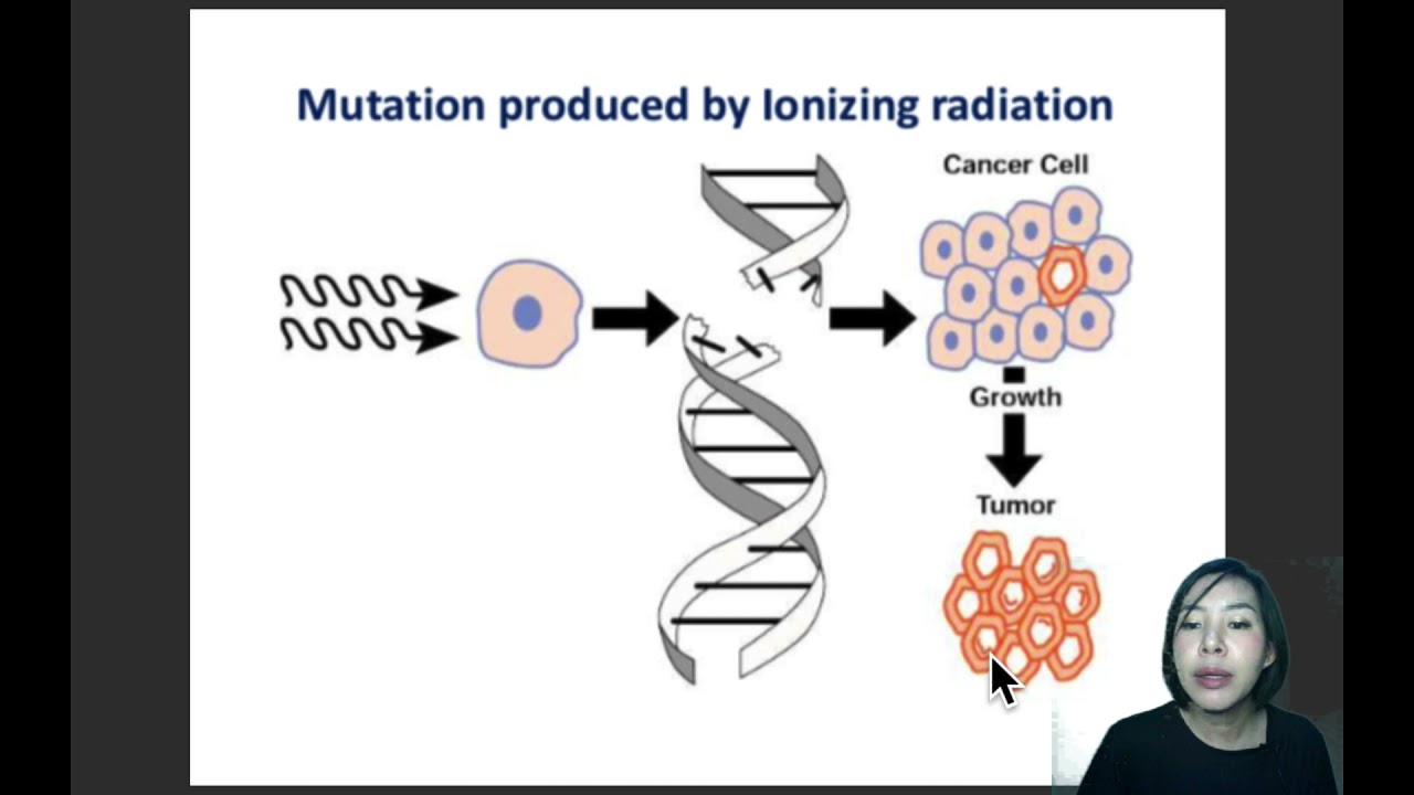 EP.4 การกลายพันธุ์ (Mutation)