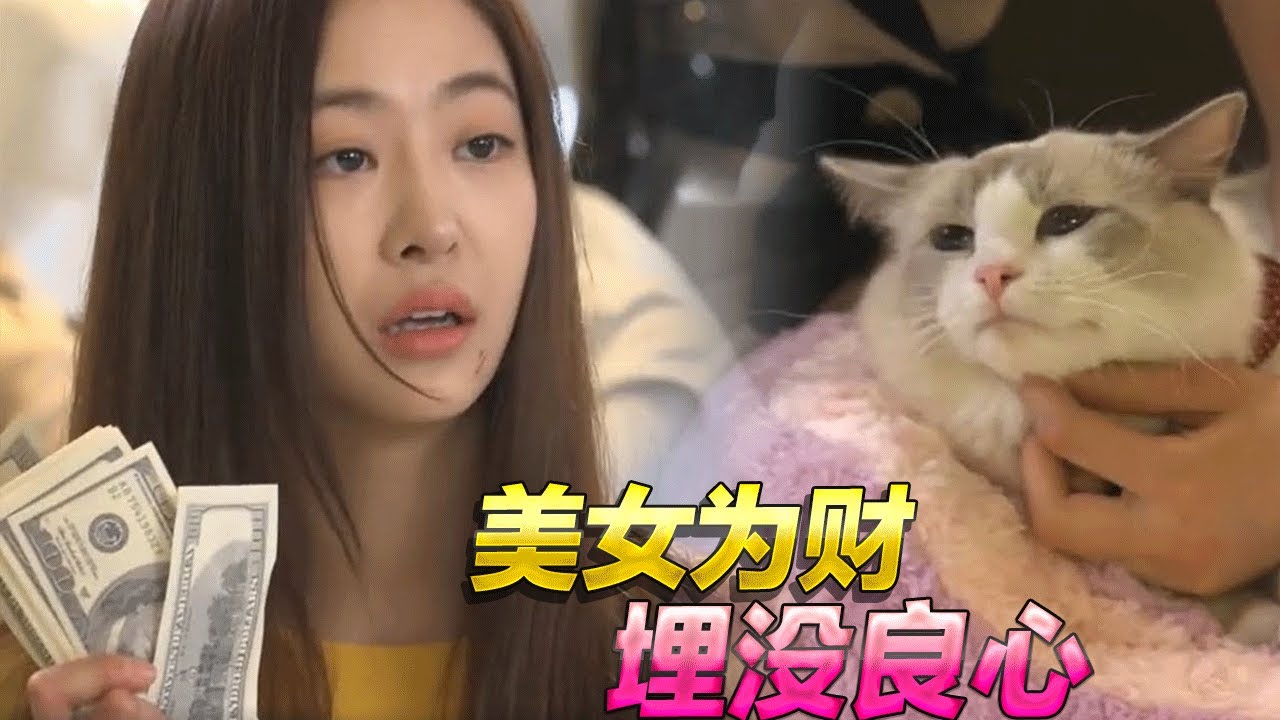 美女为财埋没良心,黑化成金钱的奴隶,一口气看完韩剧《姐姐没事》