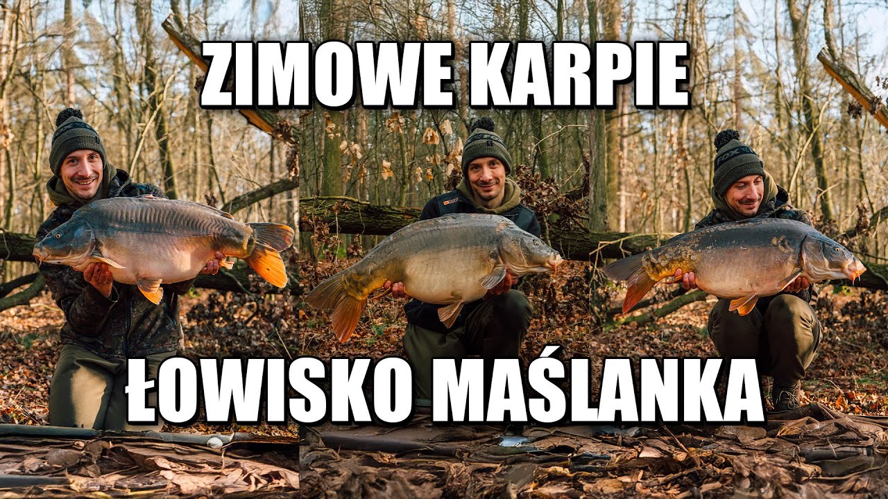 ZIMOWE KARPIE Z ŁOWISKA MAŚLANKA
