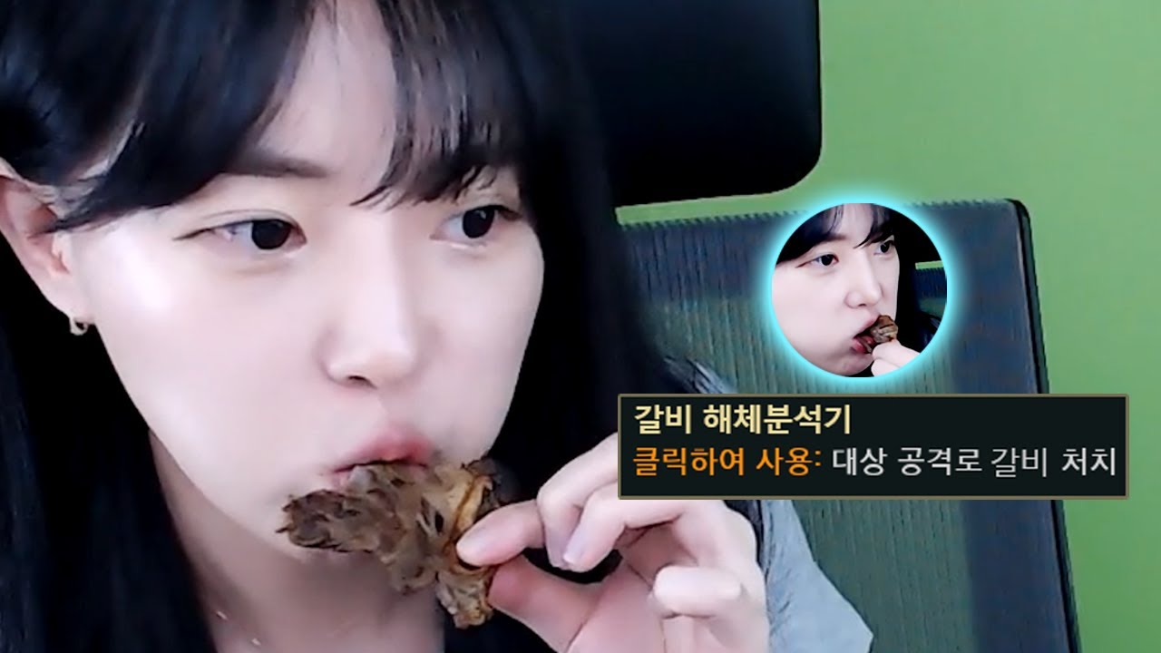 갈비 해체 분석기