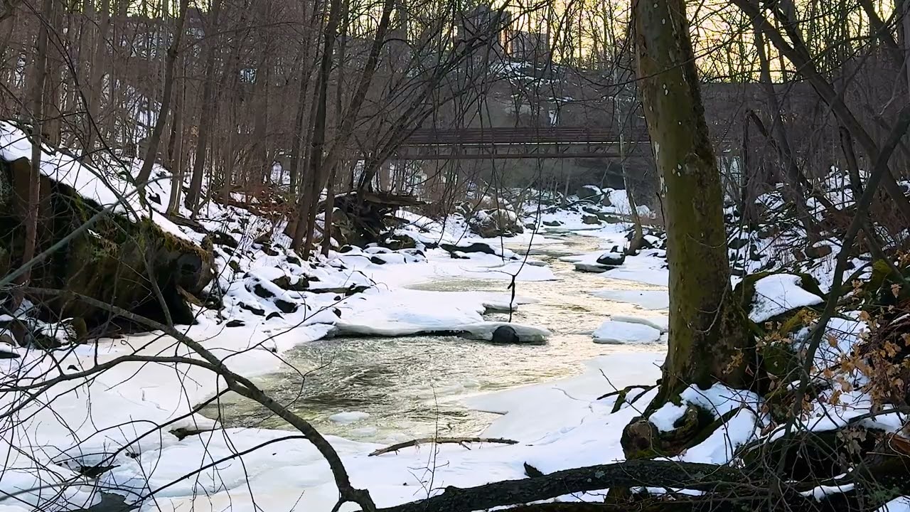 Winter River Thaw at Sunset | 29 Minutes of Relaxing Water Sounds & Forest Ambience