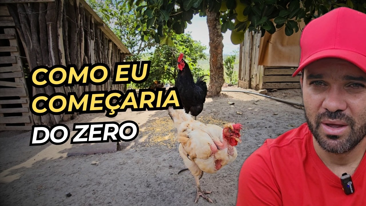 COMO EU COME&Ccedil;ARIA NA CRIA&Ccedil;&Atilde;O DE GALINHAS ( COM E SEM DINHEIRO )