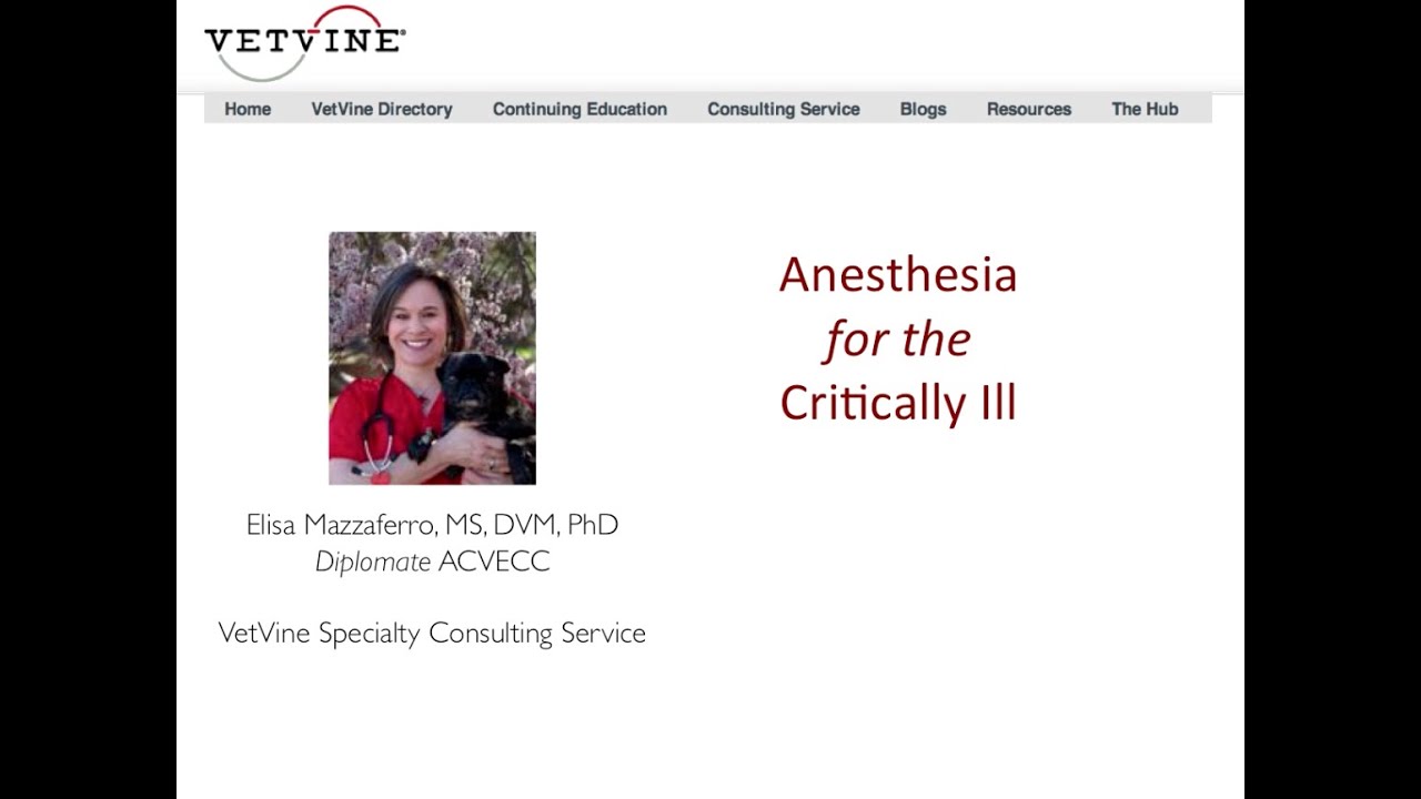 Anesthesia for the Critically Ill Small Animal Patient