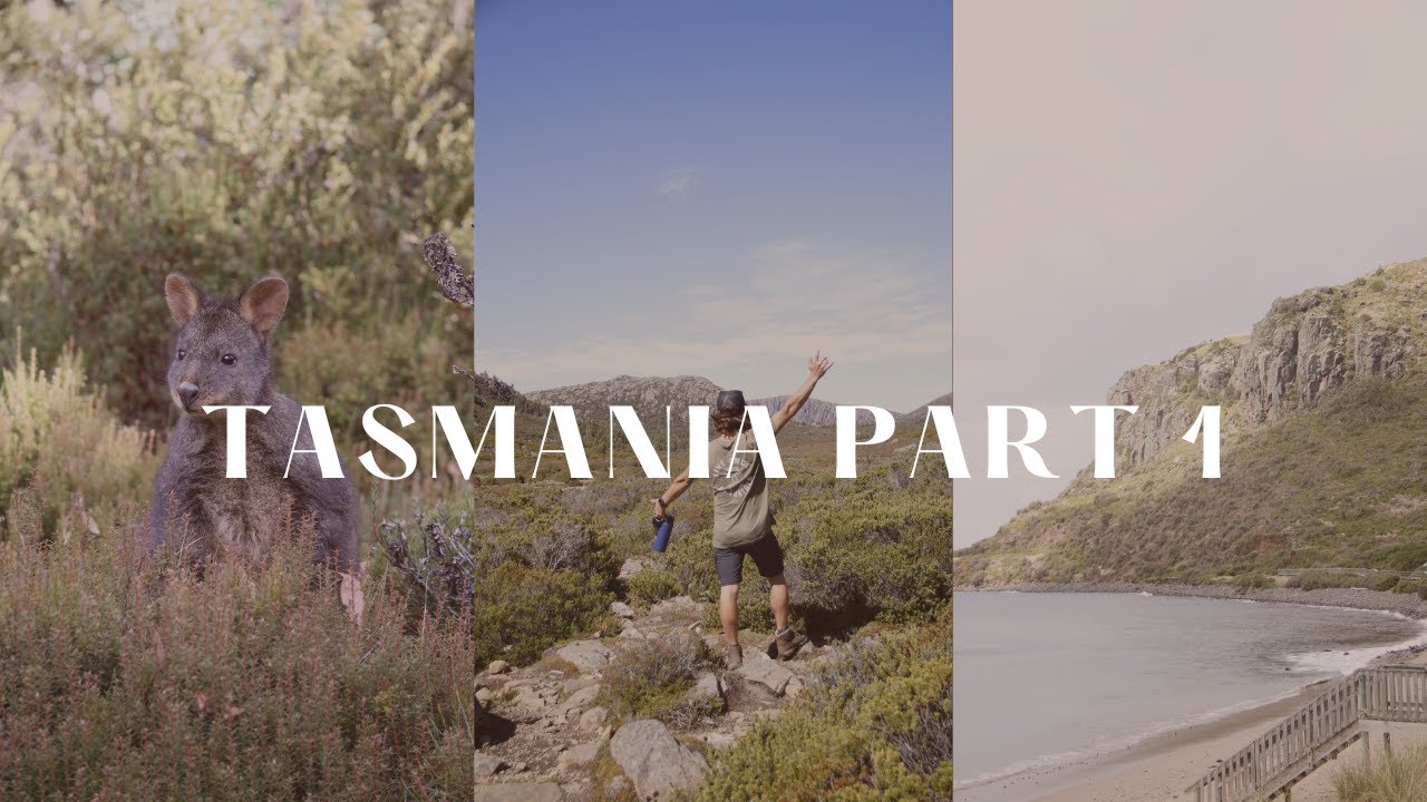 Tasmania Part 1 | A rough ride over | Hiking Walls of Jerusalem | Packing for The Overland Track