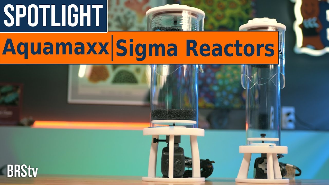 Simple Assembly & Easy to Change Aquarium Filter Media? AquaMaxx Sigma Media Reactors