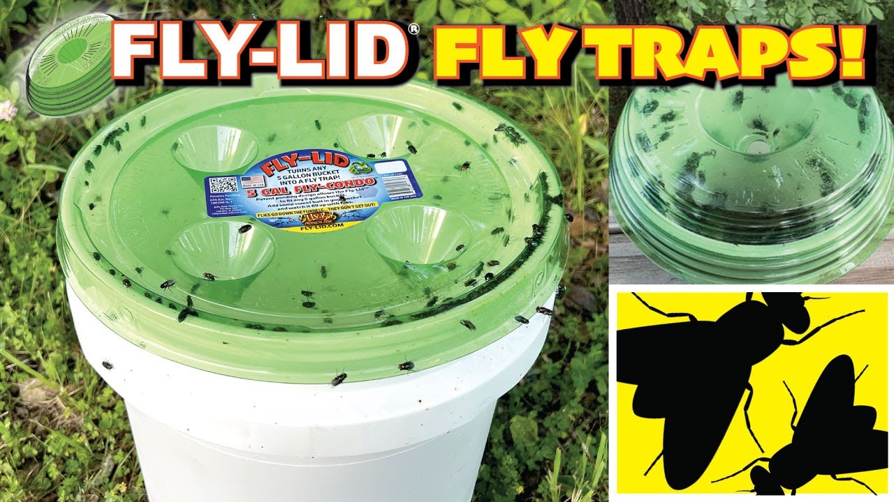 Billy Bob Fly-Lid Fly Traps...One for 5 Gallon Buckets and One for Disposable Cups.