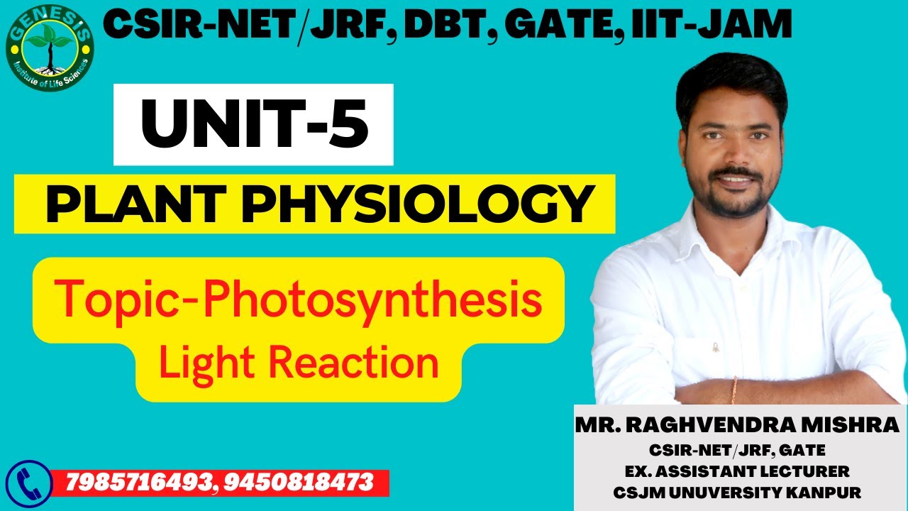 #Photosynthesis | Z-Scheme | Photophosphorylation | L-5 | Unit-5 | #Plant Physiology