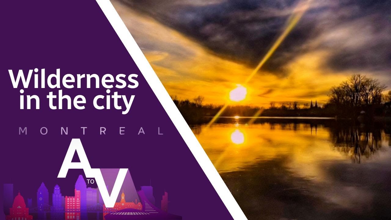 Pierrefonds–Roxboro's has Montreal's nature lovers' paradise | Montreal A to V