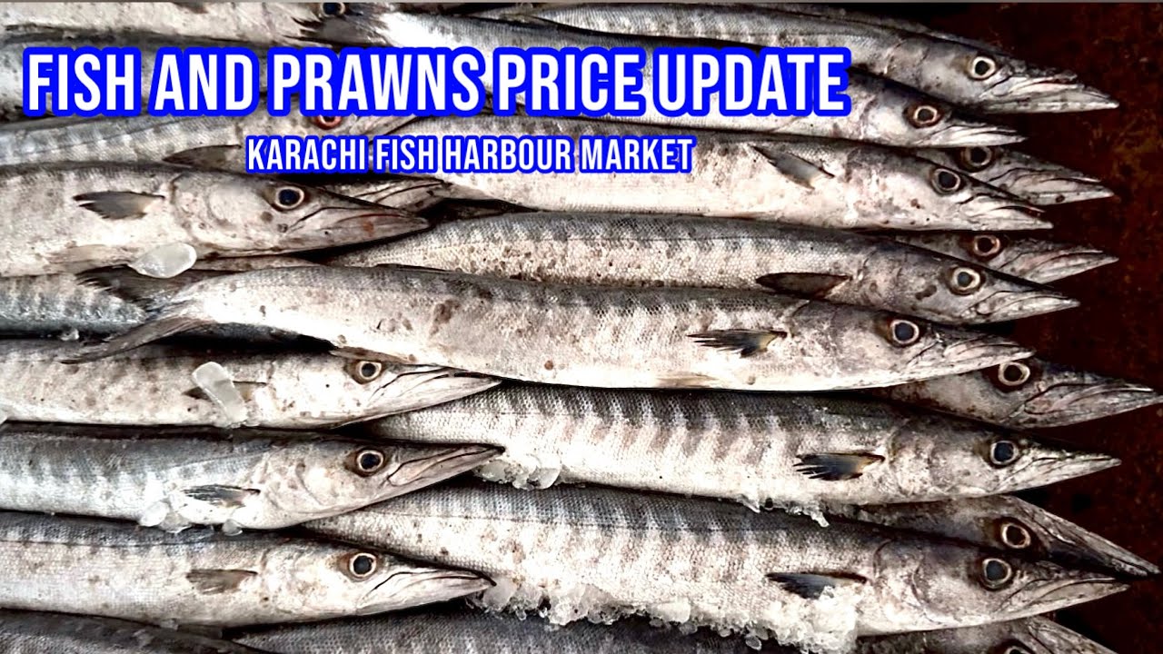 Fish and prawns price update karachi fish harbour February 18, 2026