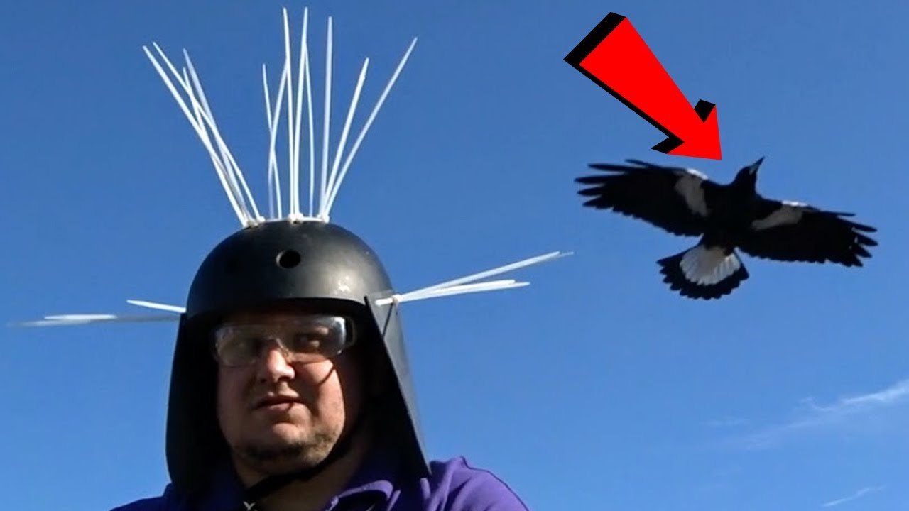 DazzaJay Builds: Magpie Defender Helmet