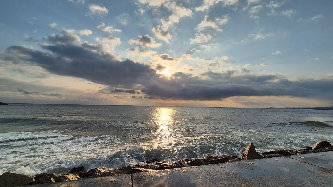 생)동해바다🏕 #노지캠핑 #차박 #캠핑 #맛집 #여행 #먹방 #혼술 #마카가자TV #전국여행