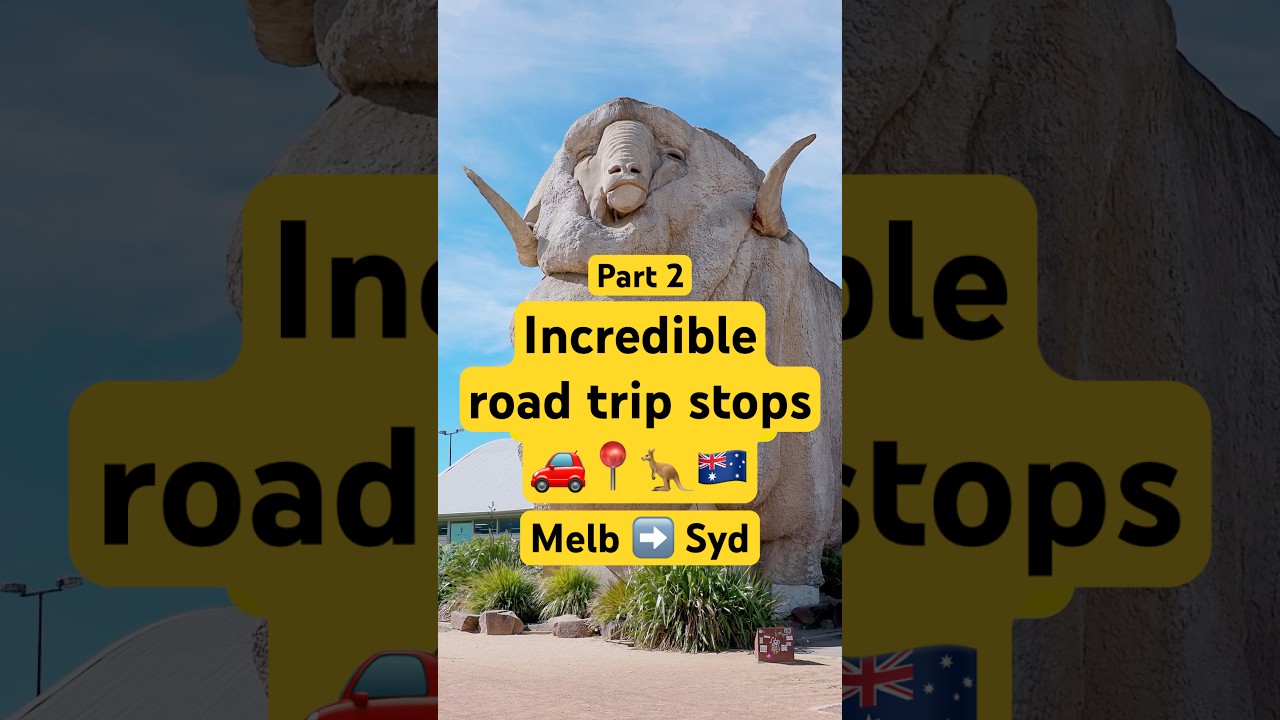 Amazing road trip stops: Melbourne to Sydney 🚗📍🦘🇦🇺 #driving #travel | 🔎 RACV News & Lifestyle