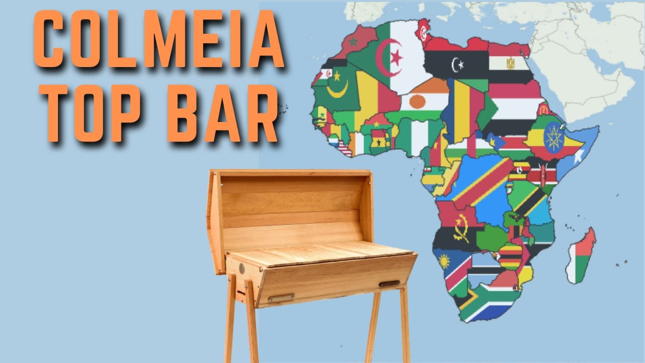 APICULTURA &ndash; Colmeia TOP BAR | Apislogia