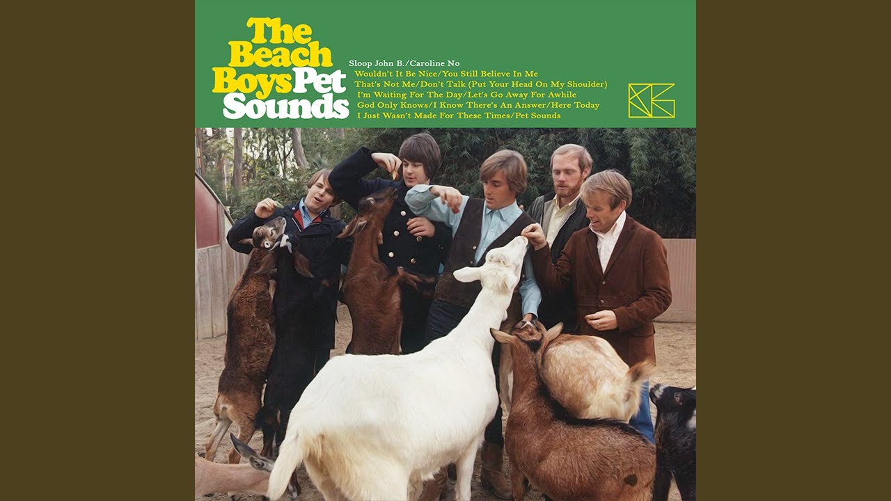 The Beach Boys - I Just Wasn't Made For These Times (Instrumental & Backing Vocals)