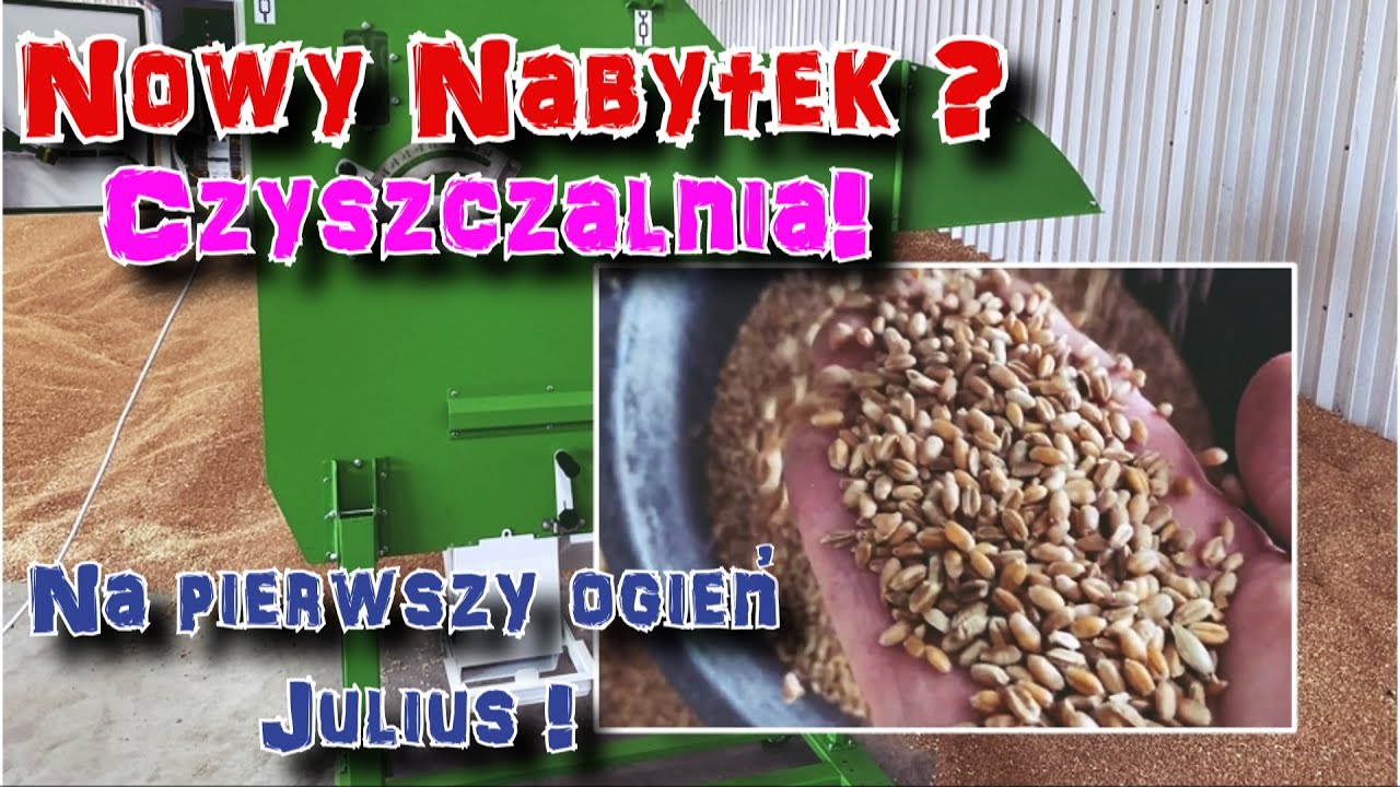Nowy nabytek? Czyszczalnia! Czy się sprawdzi? Pierwszy ogień - Julius!