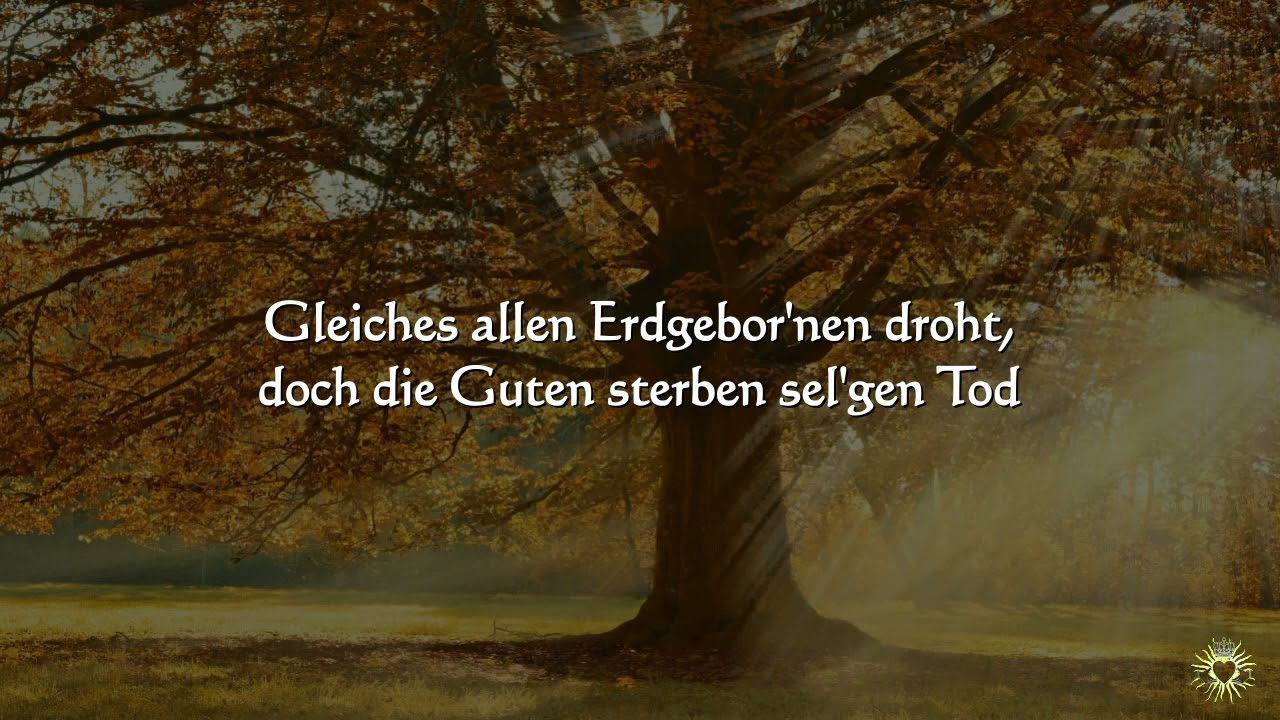 Das Lied der Linde  von der kommenden Zeit!