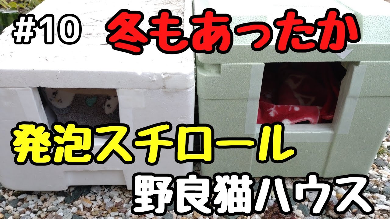 【野良猫ハウス】#10 簡単！冬でもあったかい発泡スチロールハウス作ってみた。