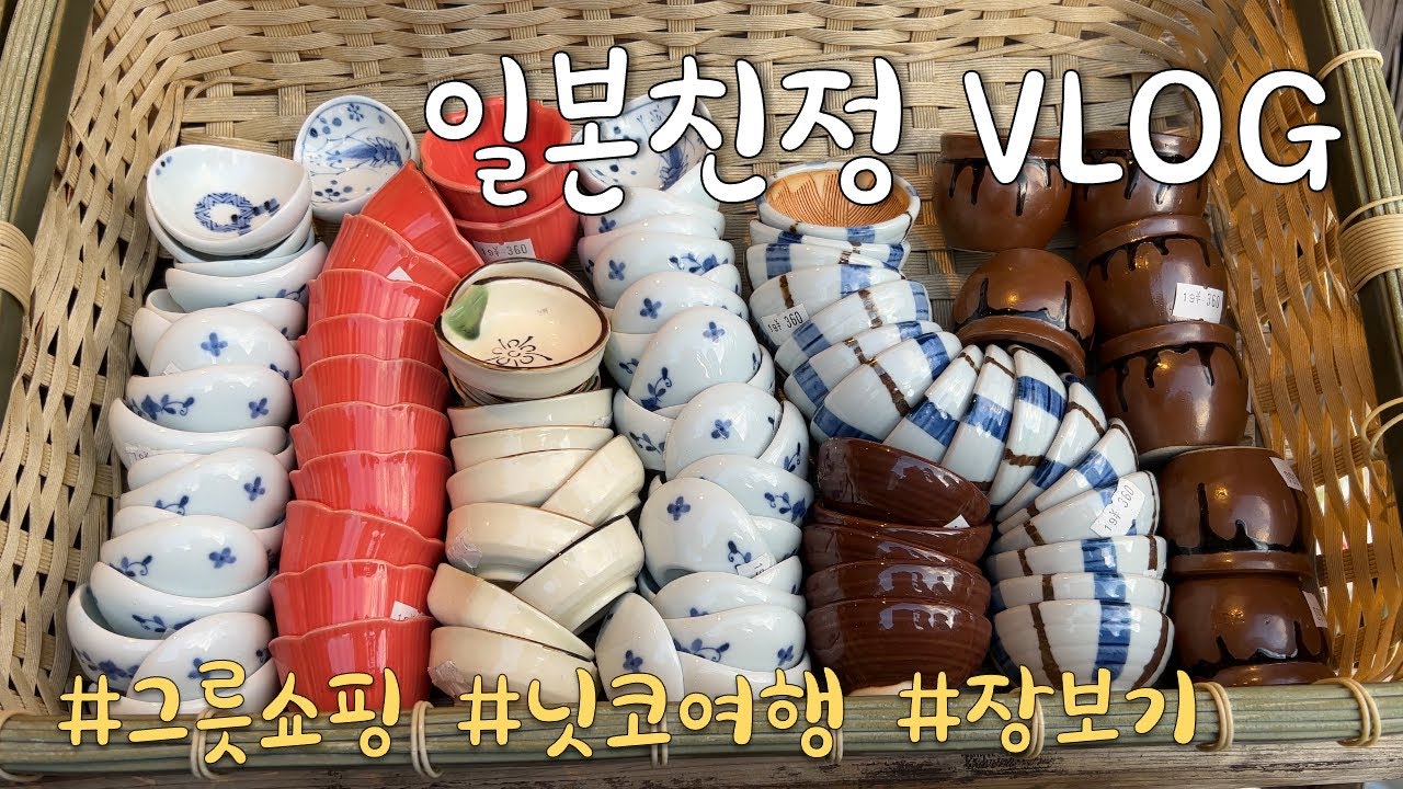 🇯🇵일본마트 장보기, 갓파바시 도구거리 그릇쇼핑, 엄마와 딸의 온천여행, 닛코 관광, 일본 친정 브이로그 3탄, 일본일상 VLOG