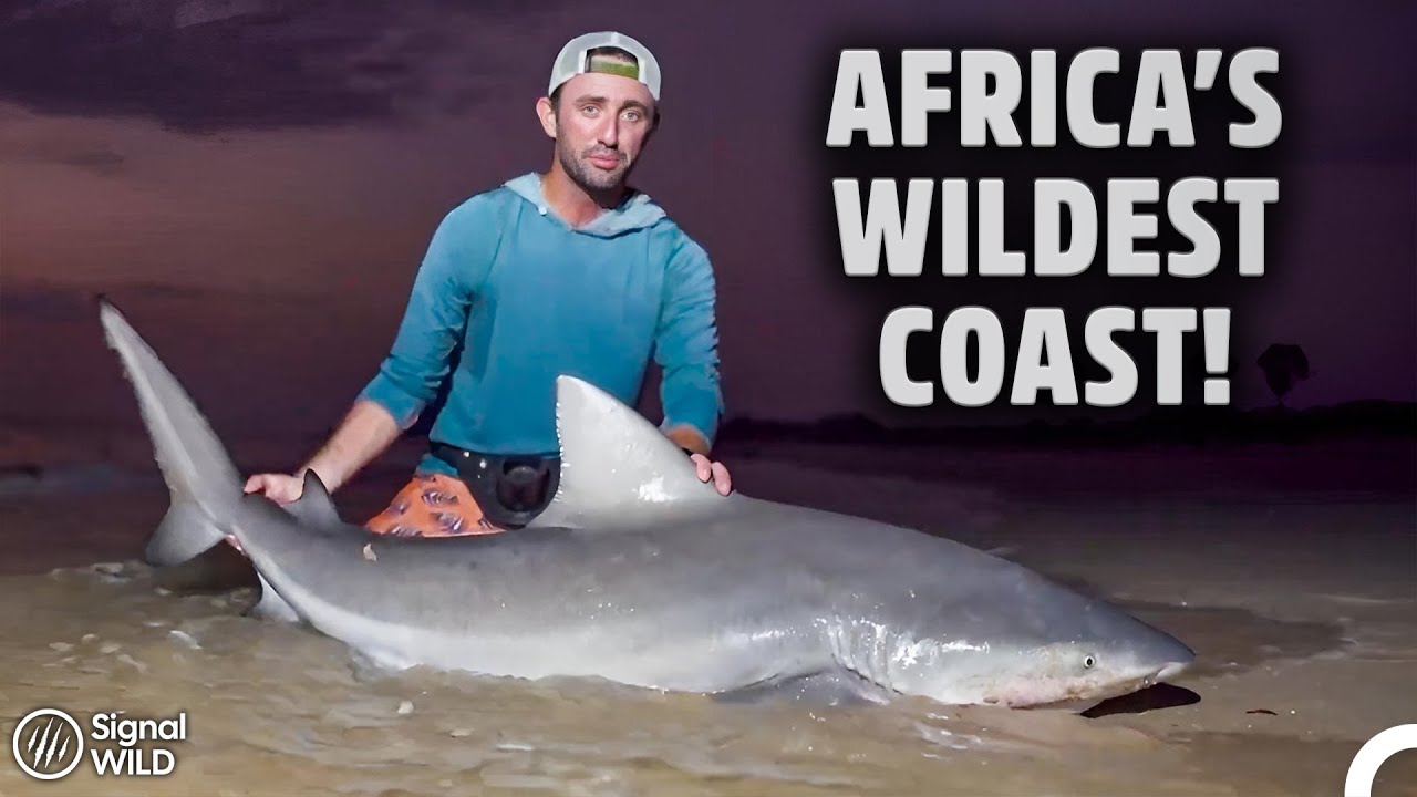 Where the Jungle Meets the Ocean | Trev Gowdy's Monster Fish