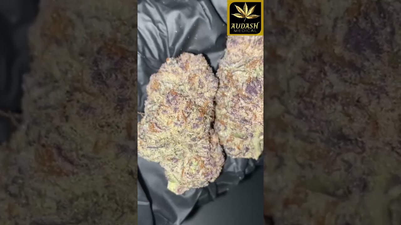 Audash Strains