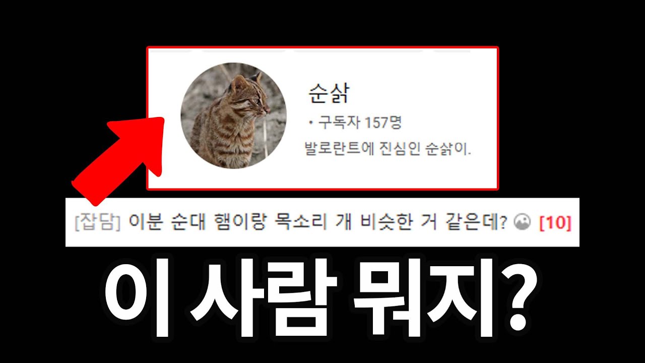 뭔가 이상한 발로란트 유튜버 한 명을 고발합니다..