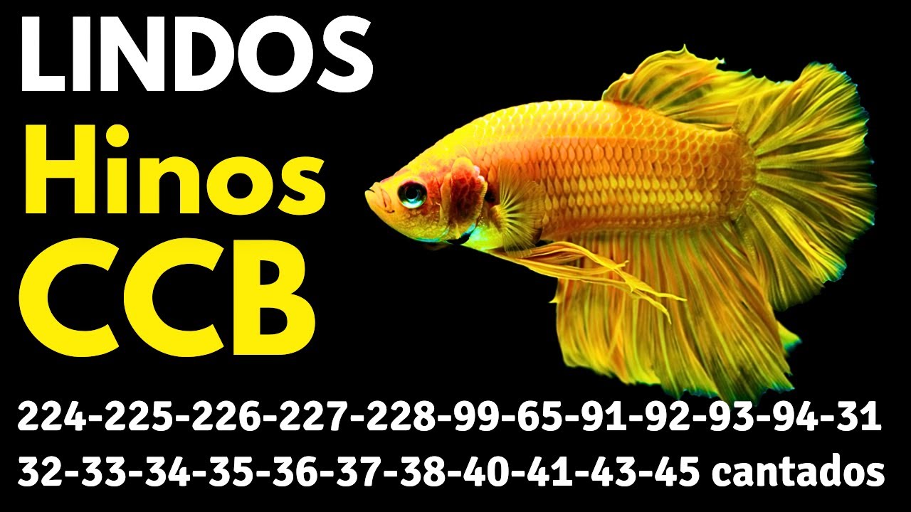 HINOS CCB 224-225-226-227-228-99-65-91-92-93-94-31-32-33-34-35-36-37-38-40-41-43-45 cantados