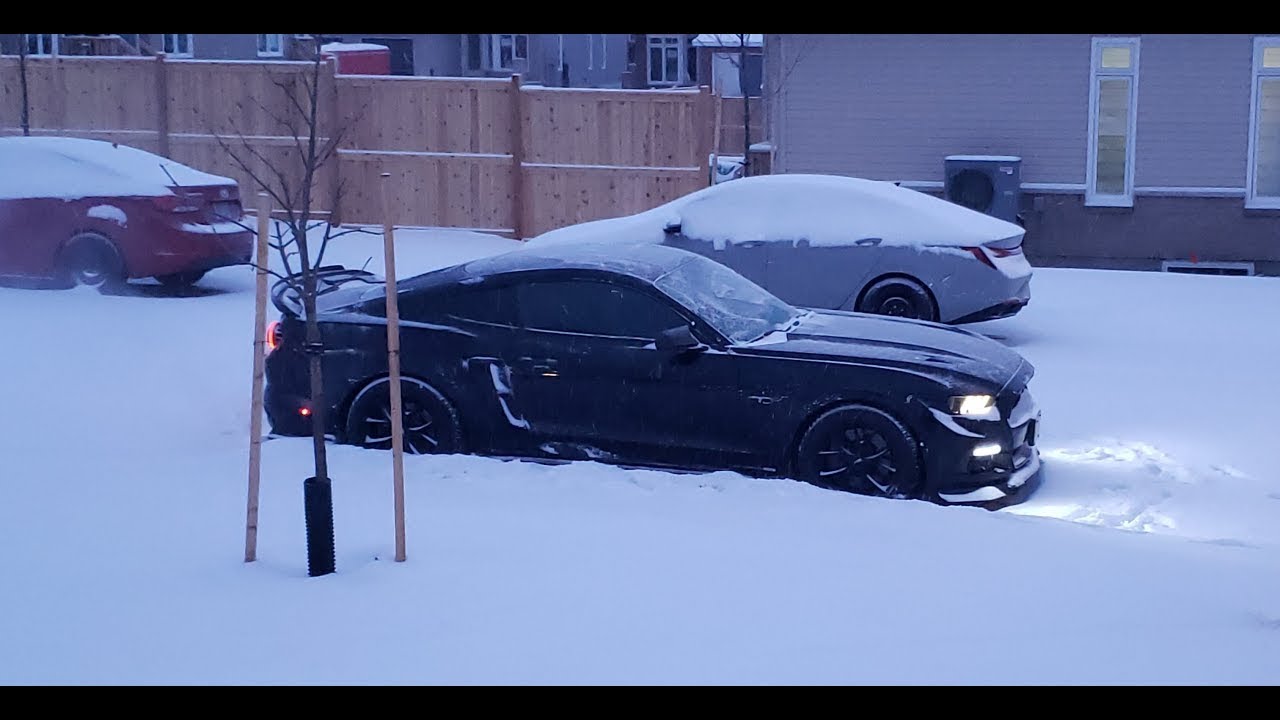 Bridgestone Blizzak WS90 (2016 Ford Mustang GT) -20 Degree Snow & Icy Condition | Part 3 Review