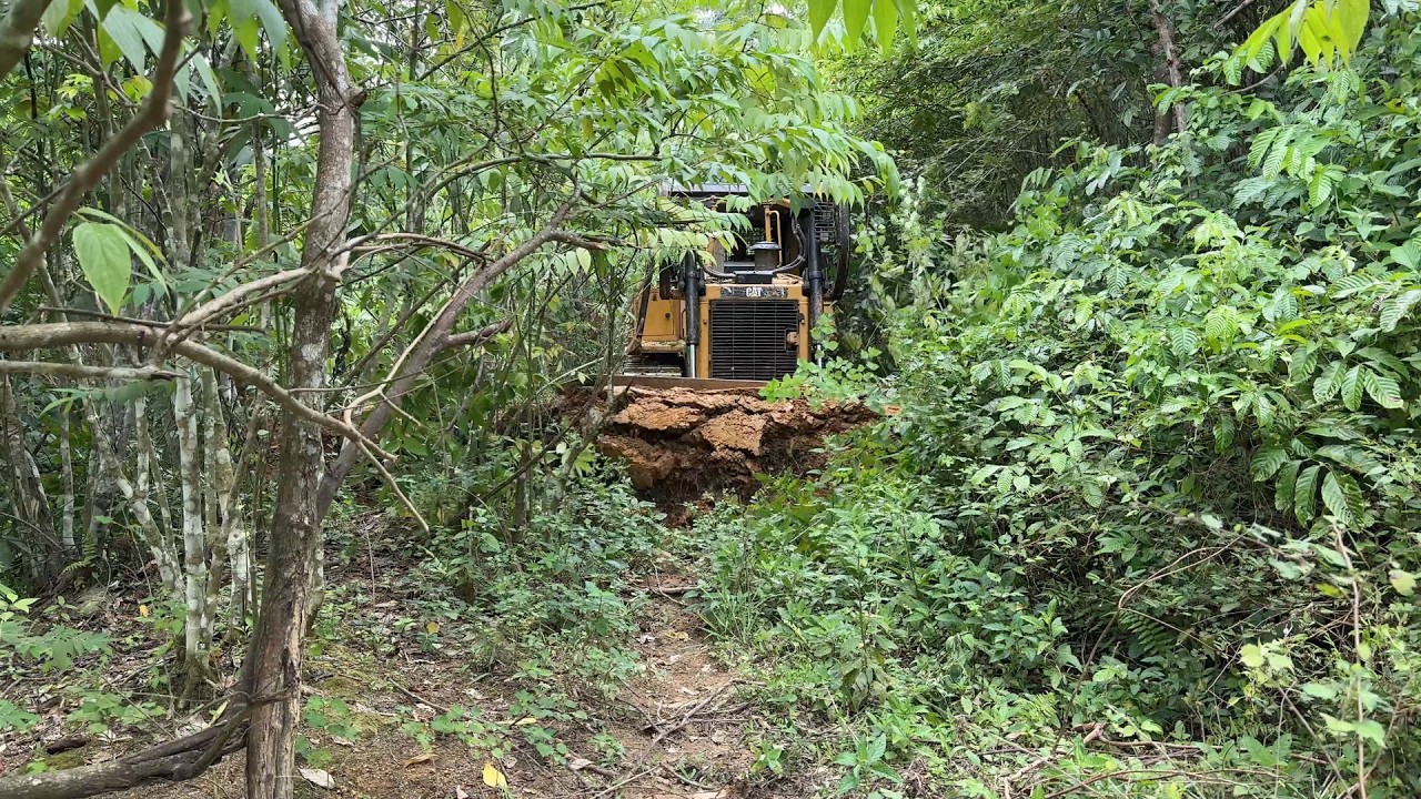 Plantation Road Repair with D6R XL Bulldozer Precision in the Plantation