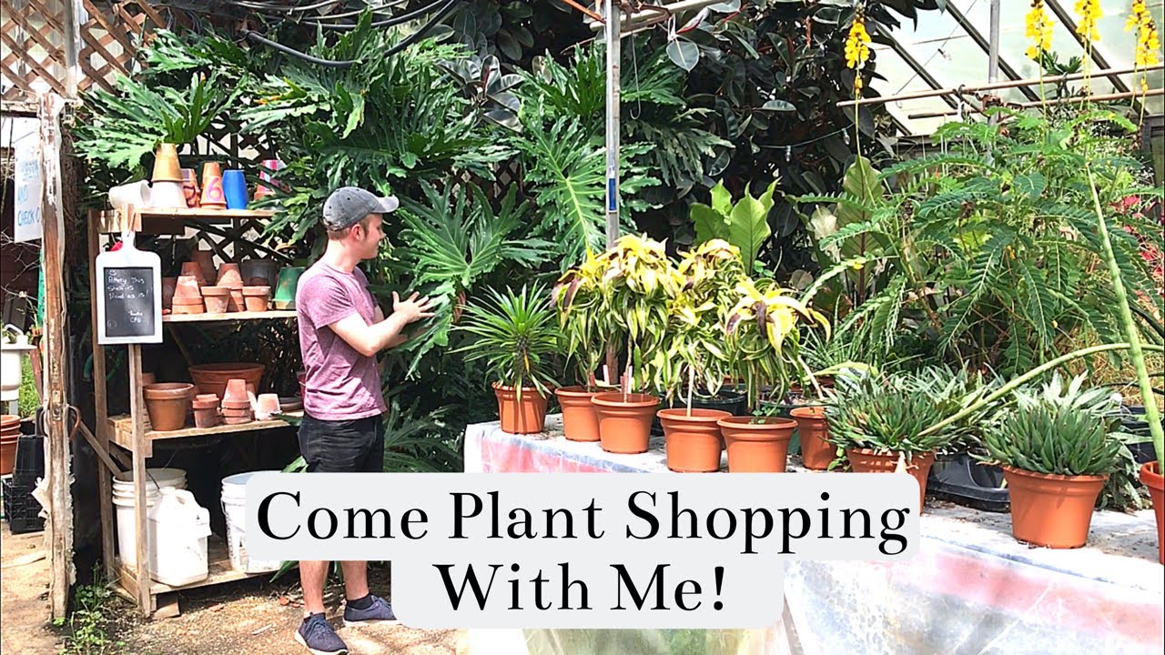 Come Plant Shopping With Me! #PlantShopHop To 5 Different Nurseries
