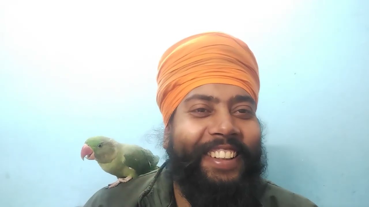 #papa ke hot ko kat liya