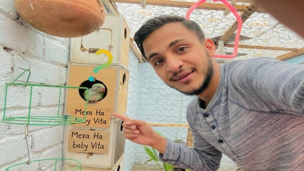 Aur Baby  Parrot A Gaye Hain