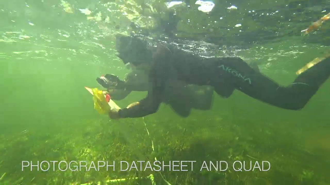 Find quadrat location and score seagrass abundance, composition, and canopy height