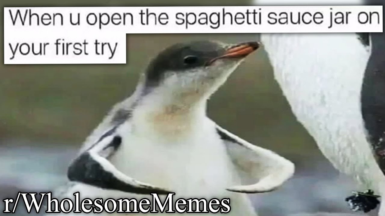 r/WholesomeMemes | I AM STRONGE