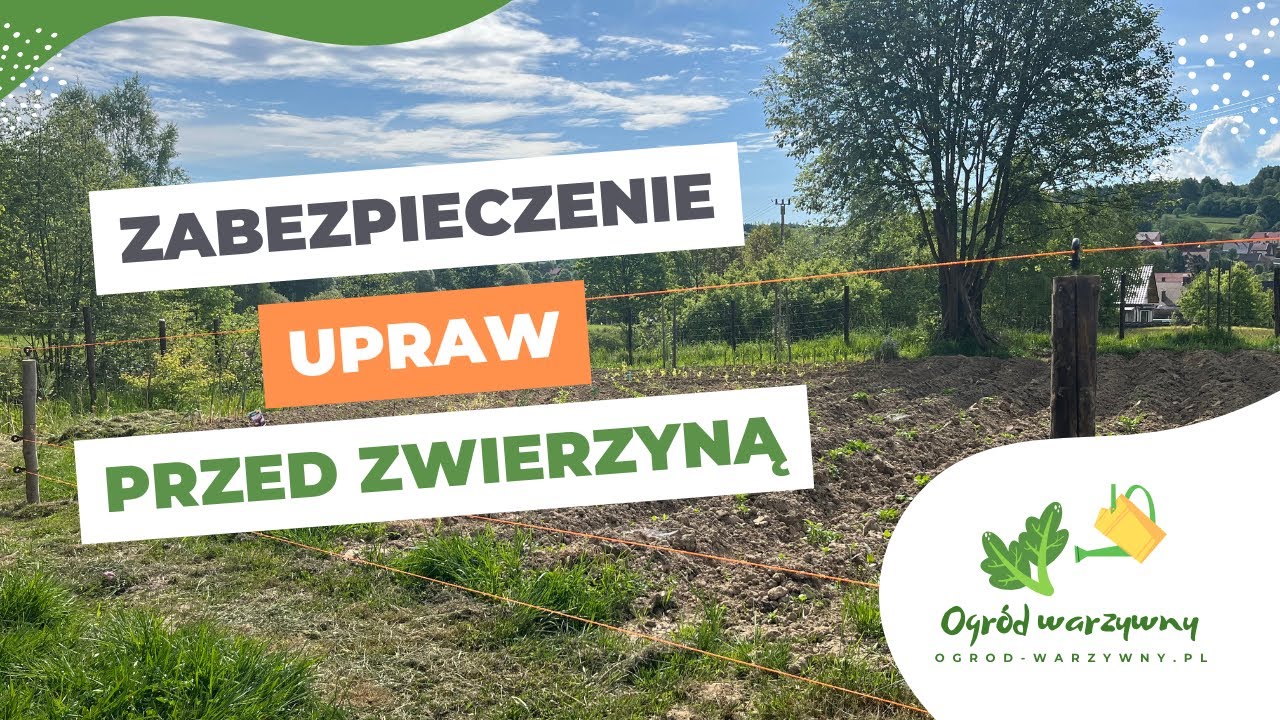 Zabezpieczenie upraw przed zwierzyną | Pastuch elektryczny na dziki i sarny