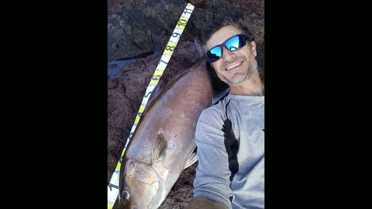 Pesca Spinning Canarias 🔥 Medregal 16kg desde orilla 🔥Shore jigging 16kg amberjack