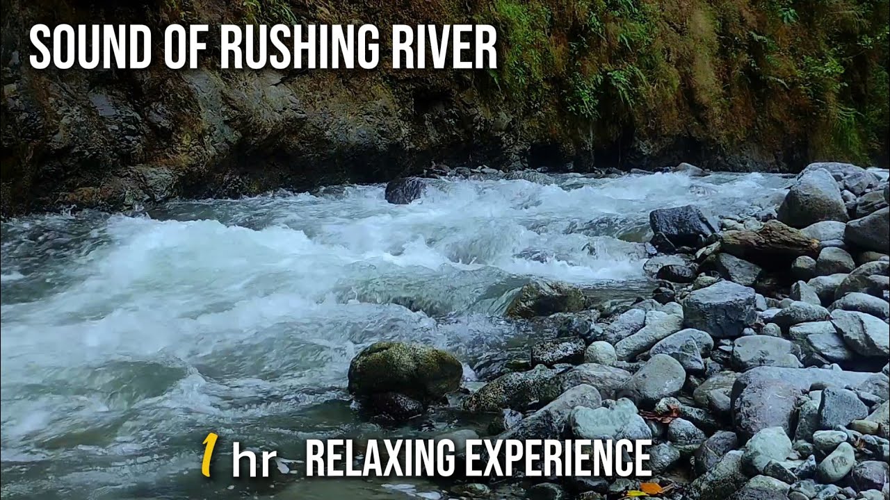 Sound Of a Rushing River 🍃 Natural Relaxation & Sleep Ambience
