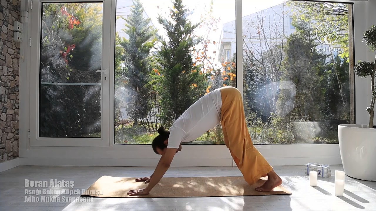 Boran Alataş | Aşağı Bakan Köpek Duruşu | Adho Mukha Svanasana | YogaHouse | (2)