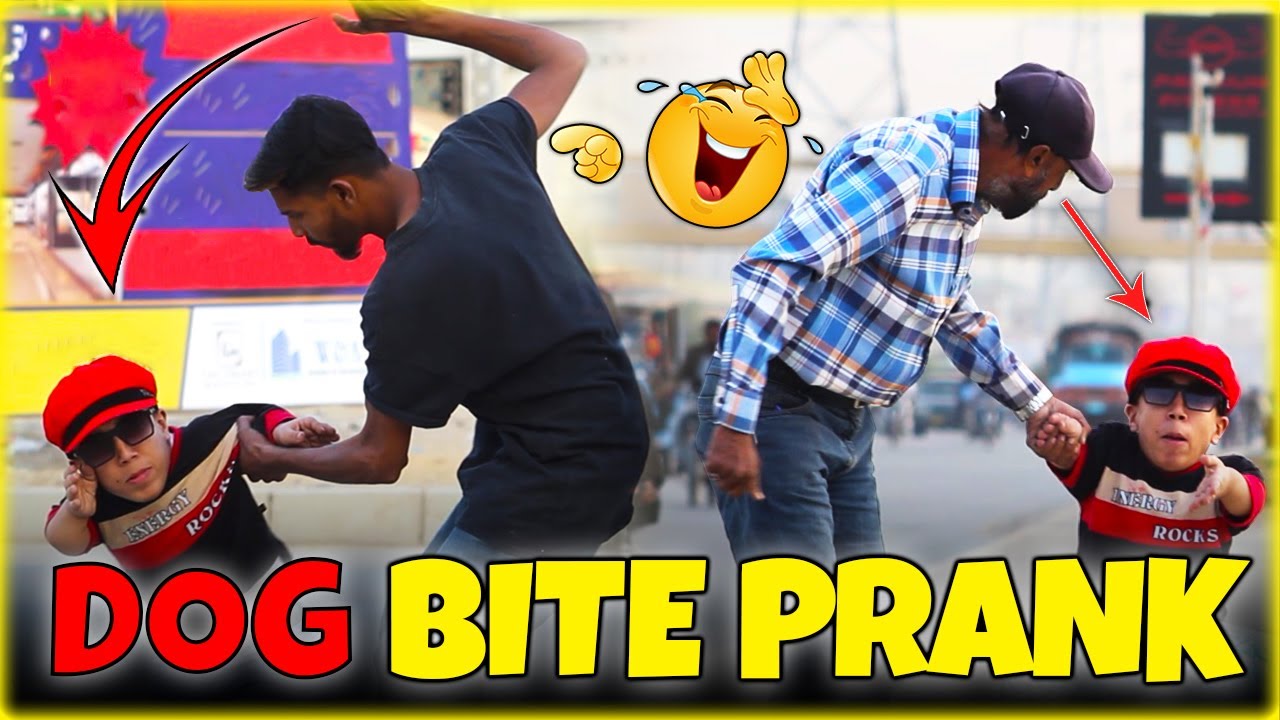 Dog Biting Prank - Funny Reactions 2024@NewTalentOfficial