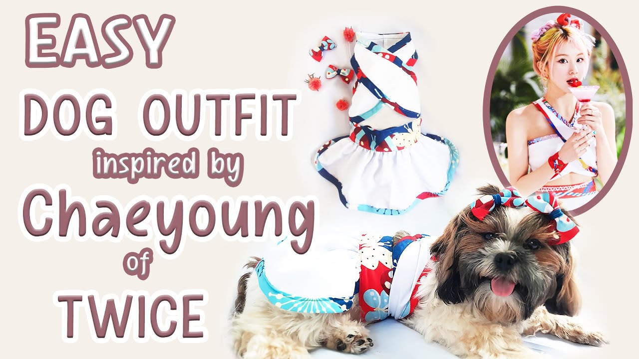 🐶TWICE CHAEYOUNG OUTFIT INSPIRED DIY FOR DOGS | SEWING EOMMA❤️