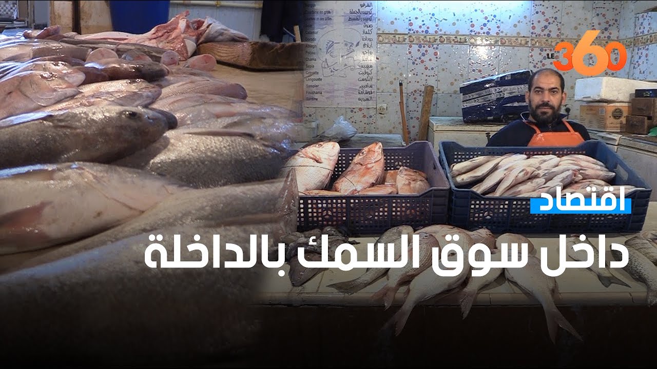 الجودة والأسعار.. جولة داخل سوق السمك بالداخلة