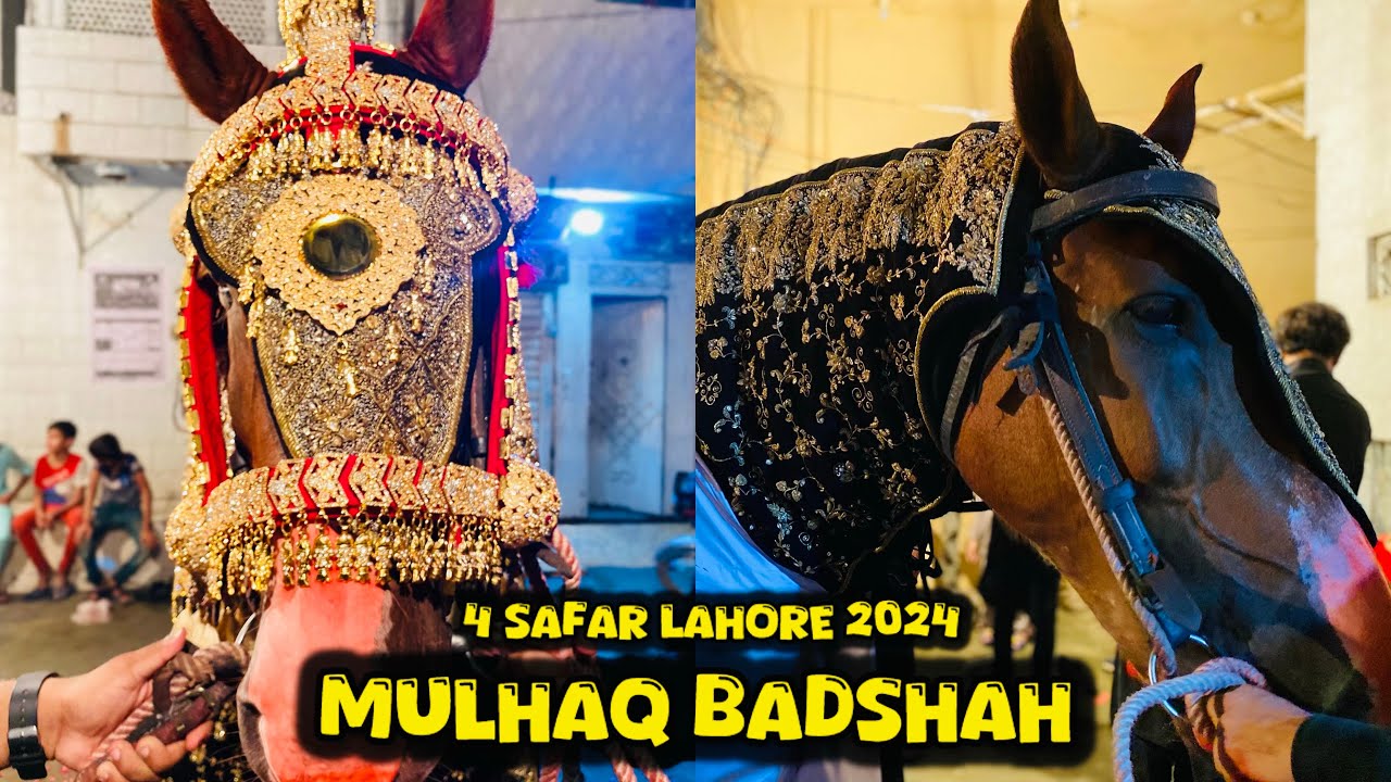 4 Safar | Zuljanah Mulhaq BadShah | Bagh Munshi Ladha Lahore 2024